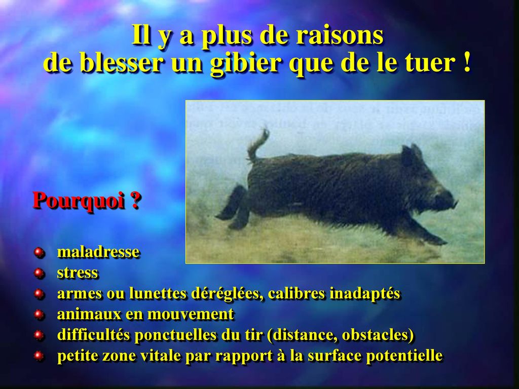 Recherche du gibier bless ppt t l charger